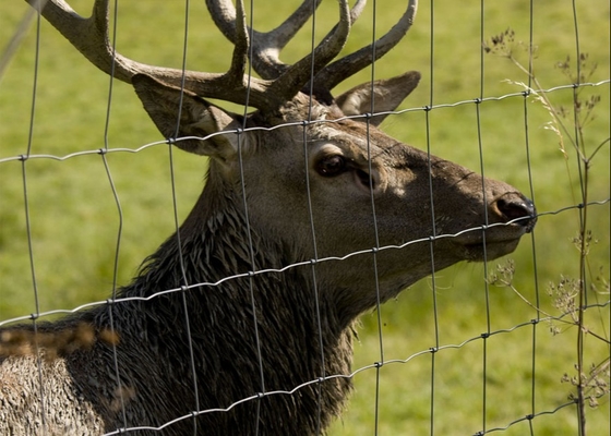 HT13/190/15 High Tensile 190cm X 100m Galvanized Steel Deer Fence Twill Weave