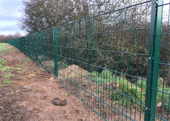 Green Powder Coated 1.5mm Welded Wire Mesh Fencing Sercurity Double Panels With Post