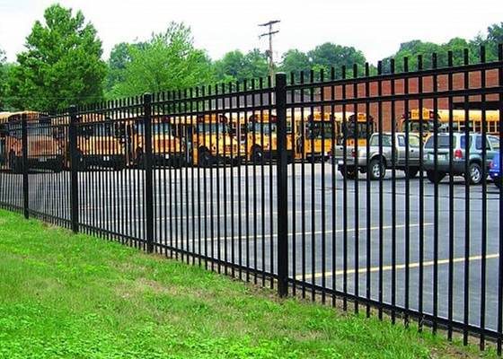 Low Maintenance Pool Steel Wrought Iron Fence With Flattened Spear