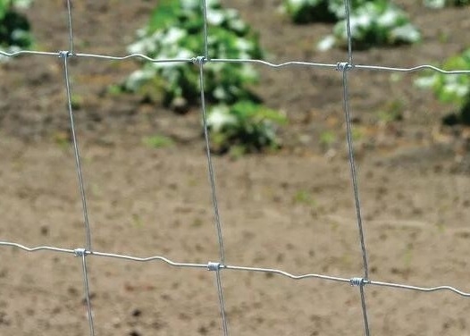 High Tensile Galvanized iron Wire Cattle Fencing 1.1m height