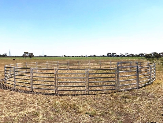 6 Bar Hdg Cattle Yard Panels Round Tube / Square Tube