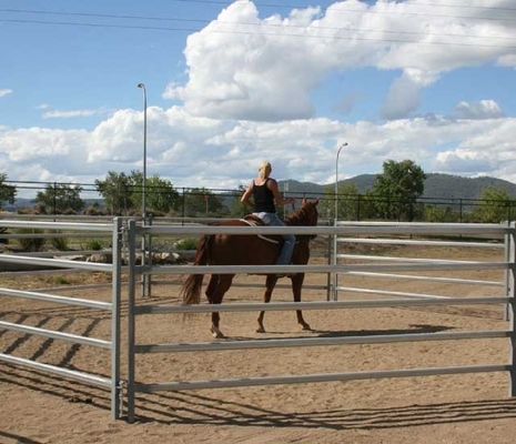 6 Bar Hdg Cattle Yard Panels Round Tube / Square Tube