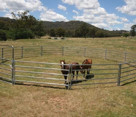 6 Bar Hdg Cattle Yard Panels Round Tube / Square Tube