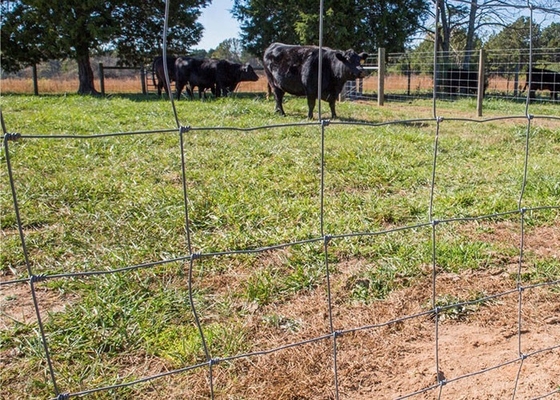 2.5mm Wire Livestock 1.2m Hinge Joint Farm Boundary Fencing Hot Dip Galvanized