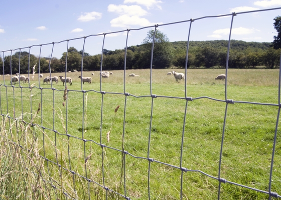 Heavy Duty 12.5ga Wire Hot Dip Galvanized 47'' High Tensile Field Fence