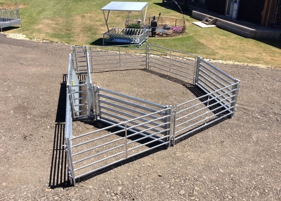 200 Head Sheep Yard Panels Pre Hot Dip Galvanized Strong Permanent