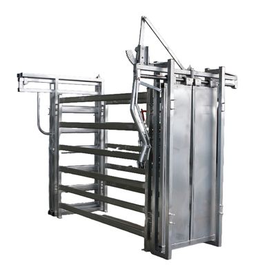 Hot Dip Galvanized Economic Cattle Crush (Hochdippverzinkte wirtschaftliche Rindervernichtung)