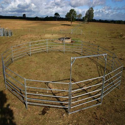20Panel+1Gate Schwerlastverzinkter Viehzuchthof Zaun