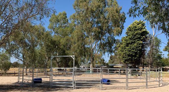 Fabrikpreis 19M Pferde Rundgarten Viehplank Pferde Stable Panels Rundschreibfeder